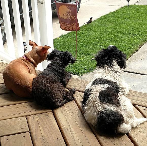 Meet your Posher, Kristi - Picture 1 of 1